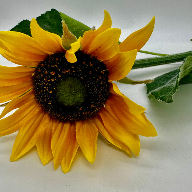 22" Sunflower Stem