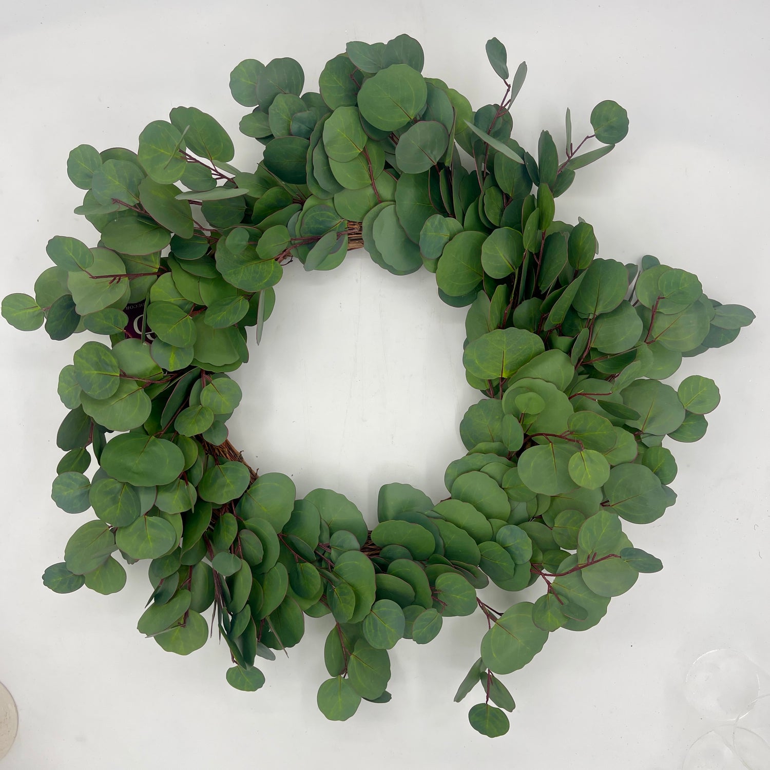 24" Silver Dollar Eucalyptus Wreath