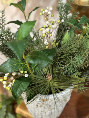 Pine Berry in pot arrangement 15”
