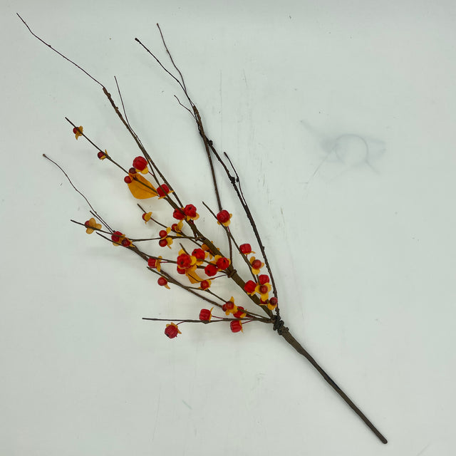 20" Bittersweet Pick