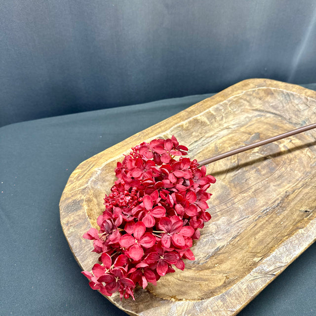 29" Dark Red Peegee Hydrangea Stem