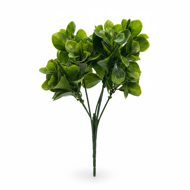 14" UV Protected Jade Leaf Bush