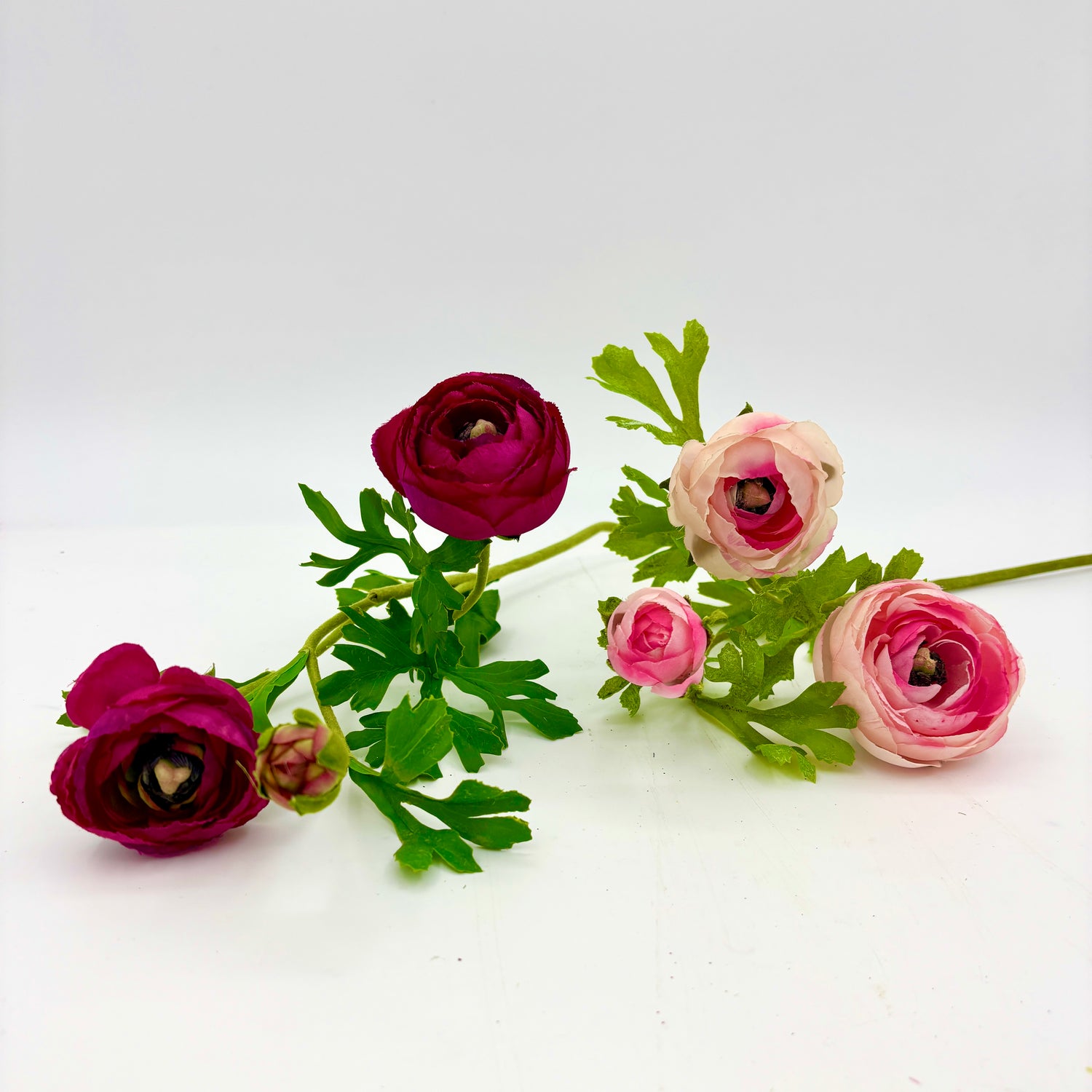 RANUNCULUS W BUDS STEM