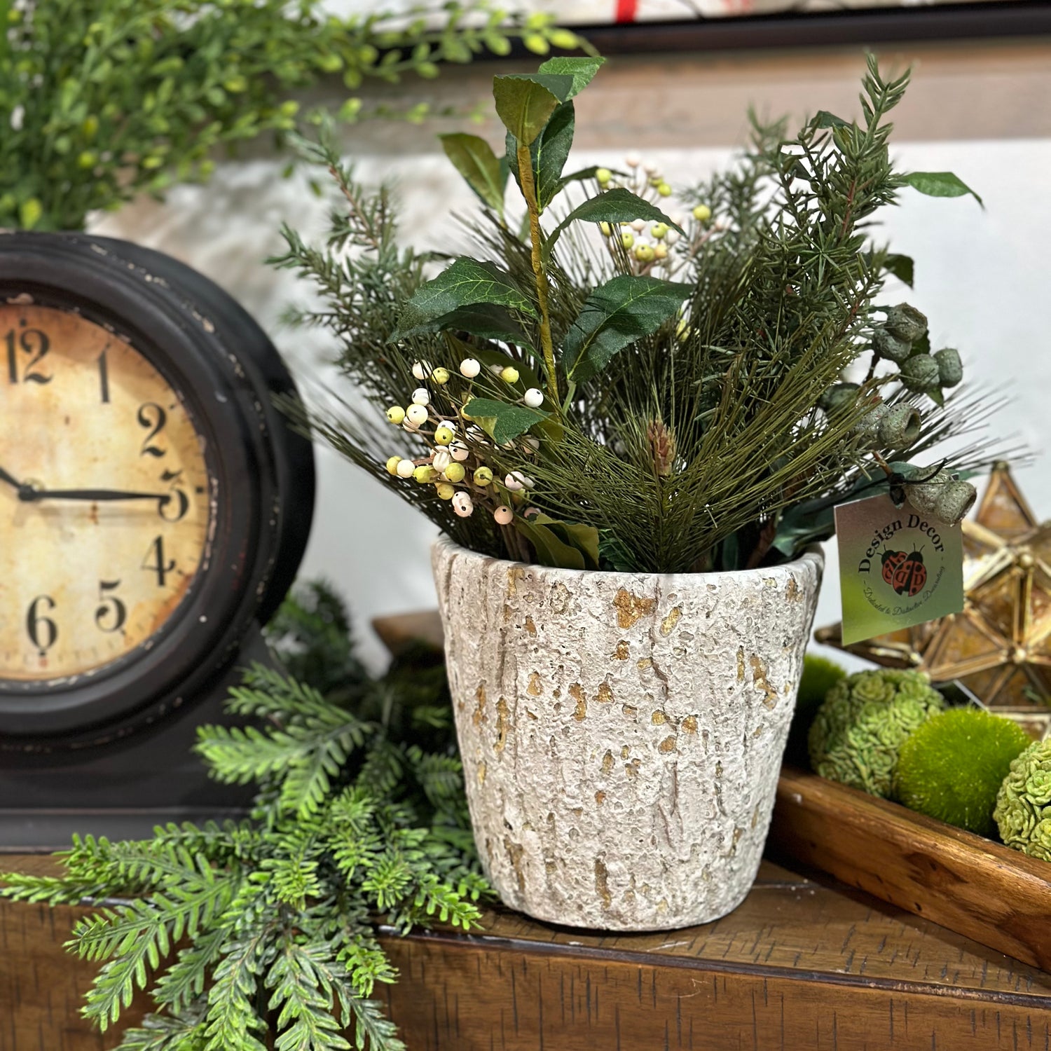Pine Berry in pot arrangement 15”