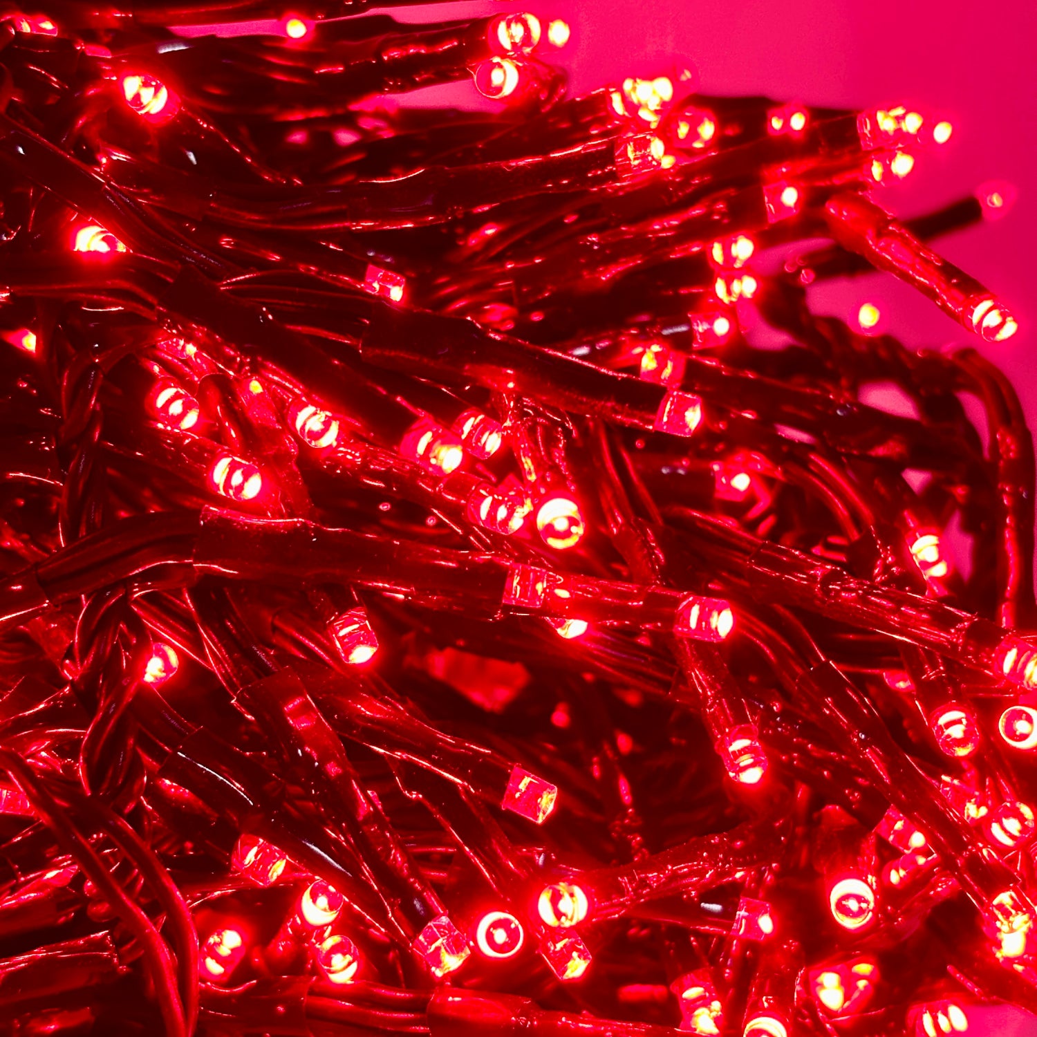 LEDs Connect Cluster Lights | 8 Function Twinkle Effect | Outdoor | Red | Starter Pack