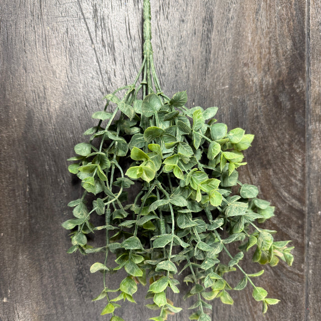13" Two Tone Eucalyptus Bush