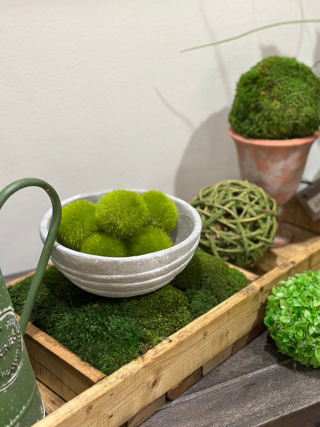 3" Layered Design Concrete Pot