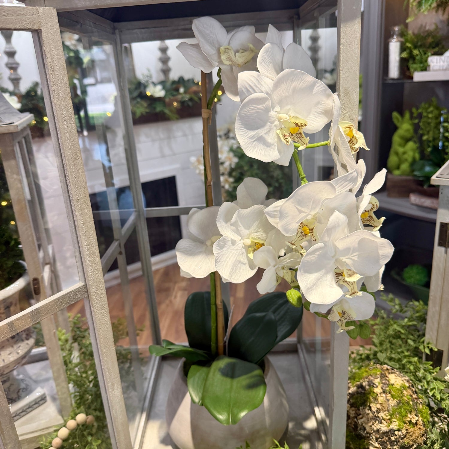 24" Natural Touch Phaleanopsis Orchid in Cement Pot White