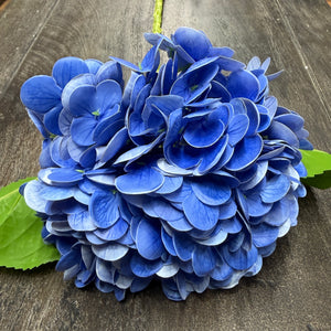 20" Blue Natural Touch Hydrangea