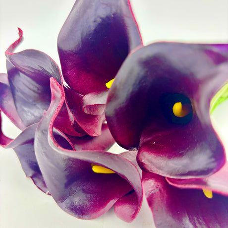 Aubergine Mini Calla Lily Bundle, Set of 8 Blooms, additional view