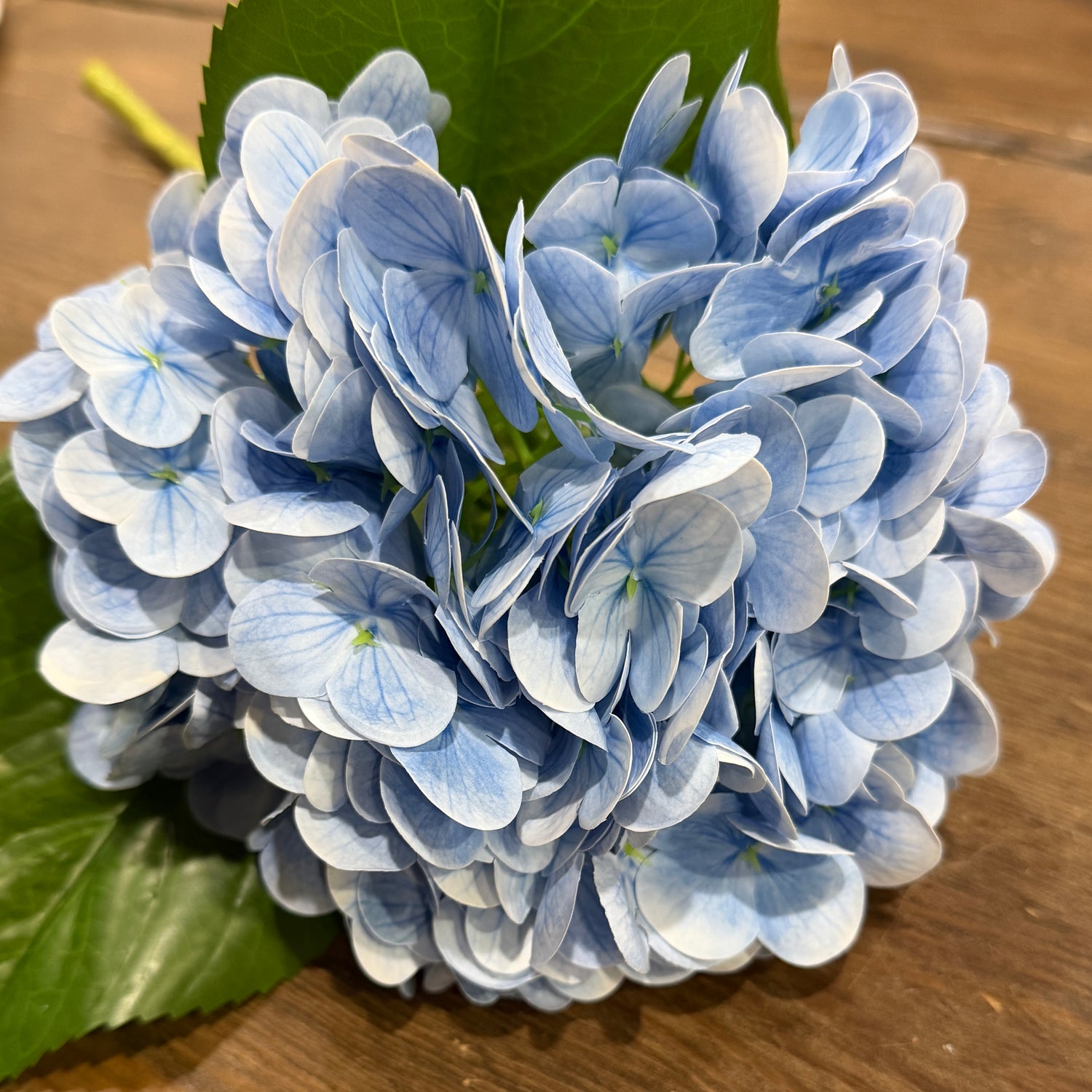 20" Light Blue Natural Touch Hydrangea