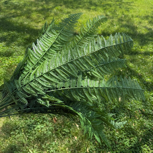 46" Luxury Leather Fern Bush