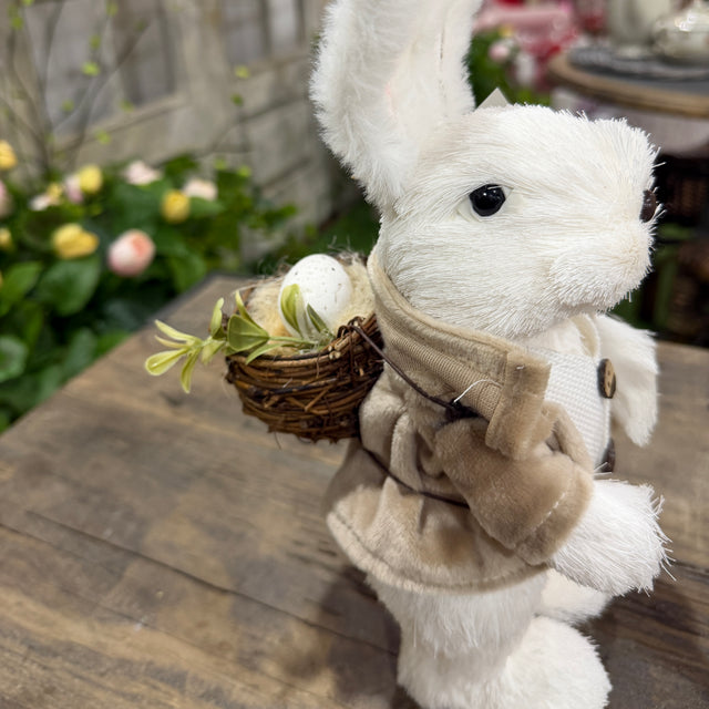 12.25" Sisal Dressed Boy Girl Bunny w/Basket (Sold Individually)