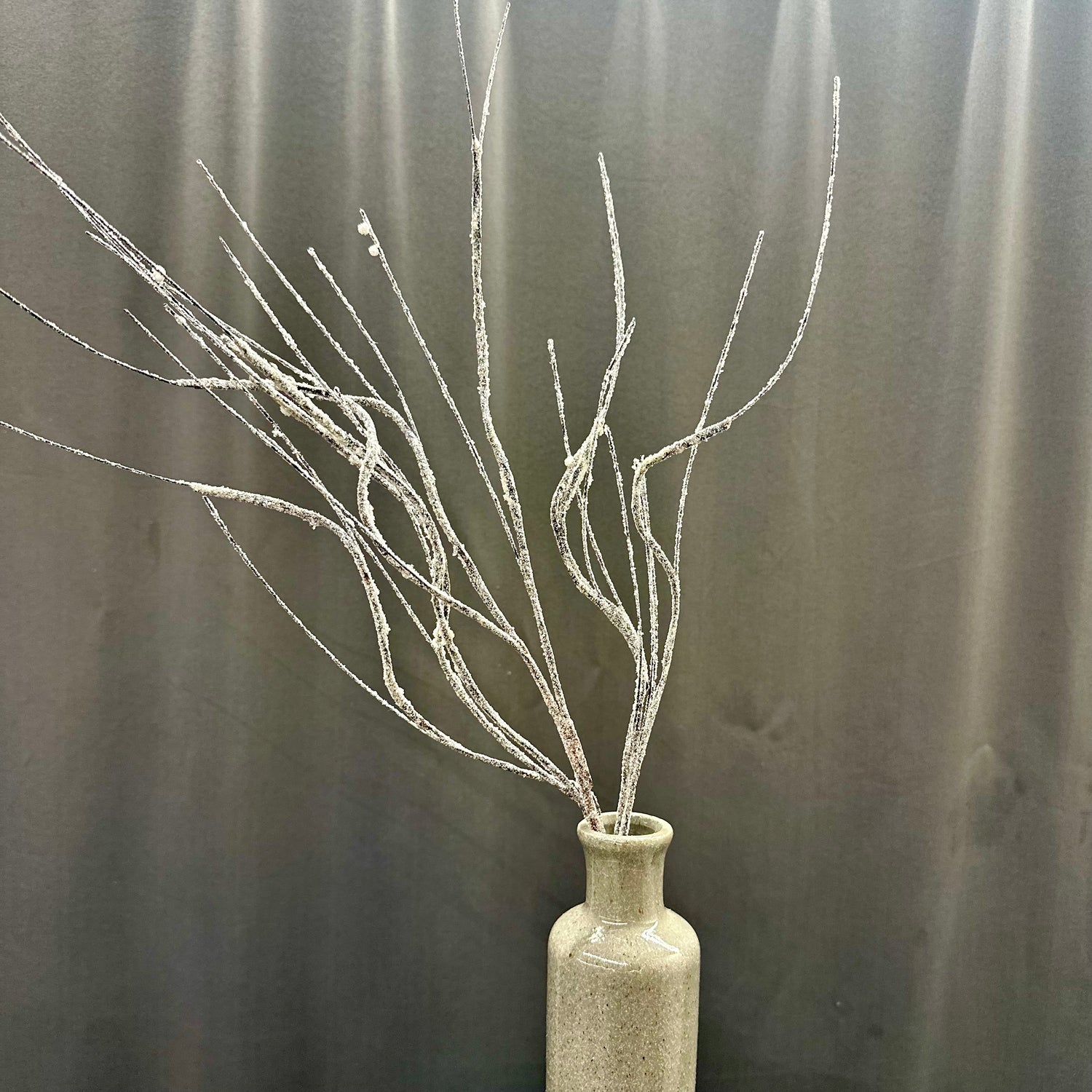 32" Frosted Curly Twig Spray