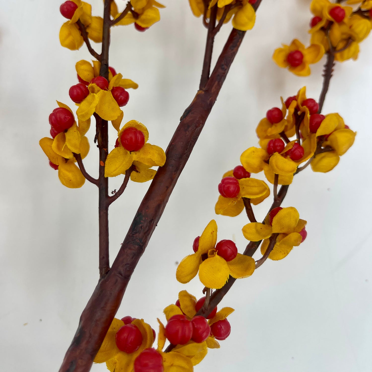83" Hanging Wild Bittersweet Vine Stem