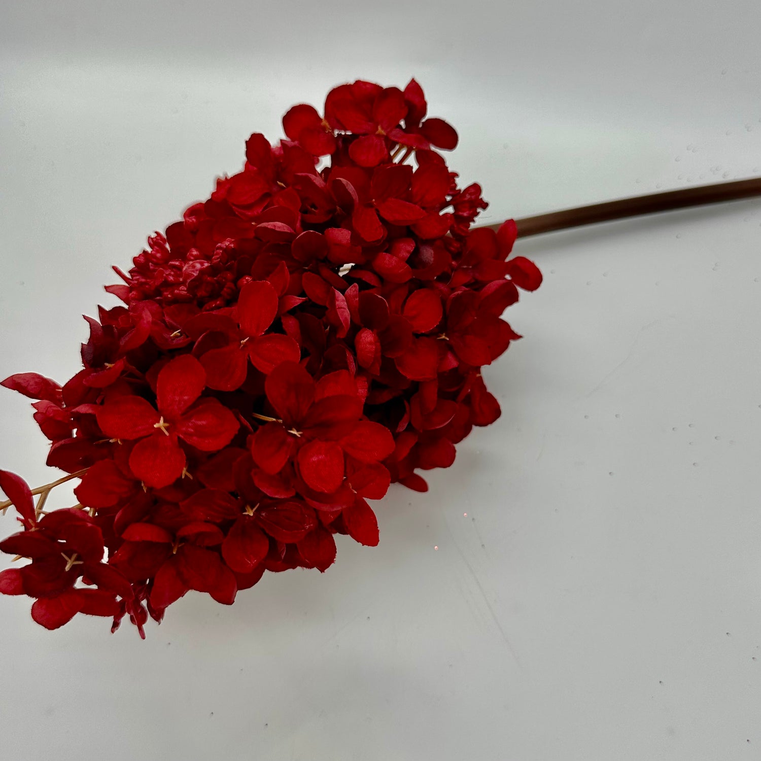 29" Dark Red Peegee Hydrangea Stem