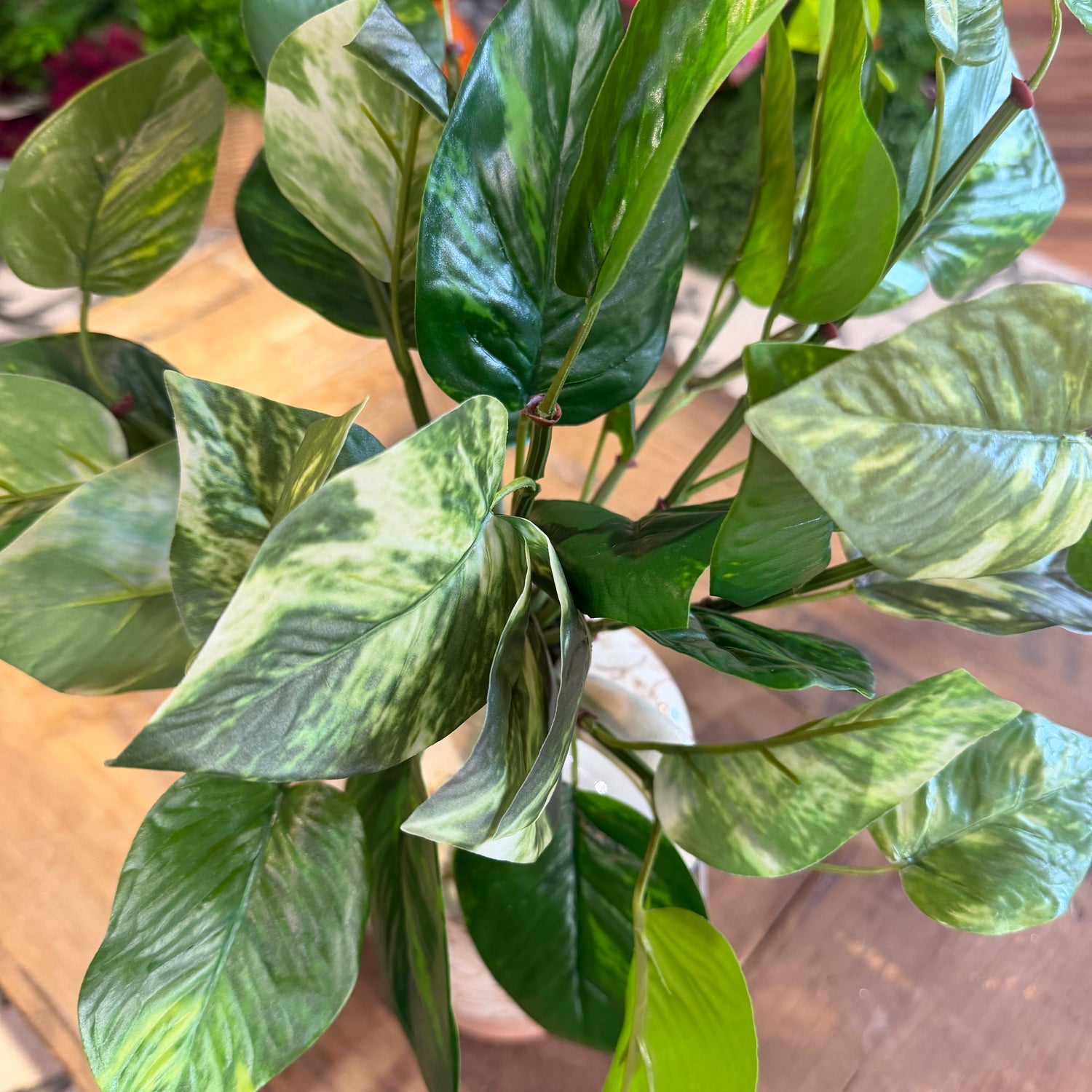 16" Pothos Bush | Green & Yellow | UV Protected