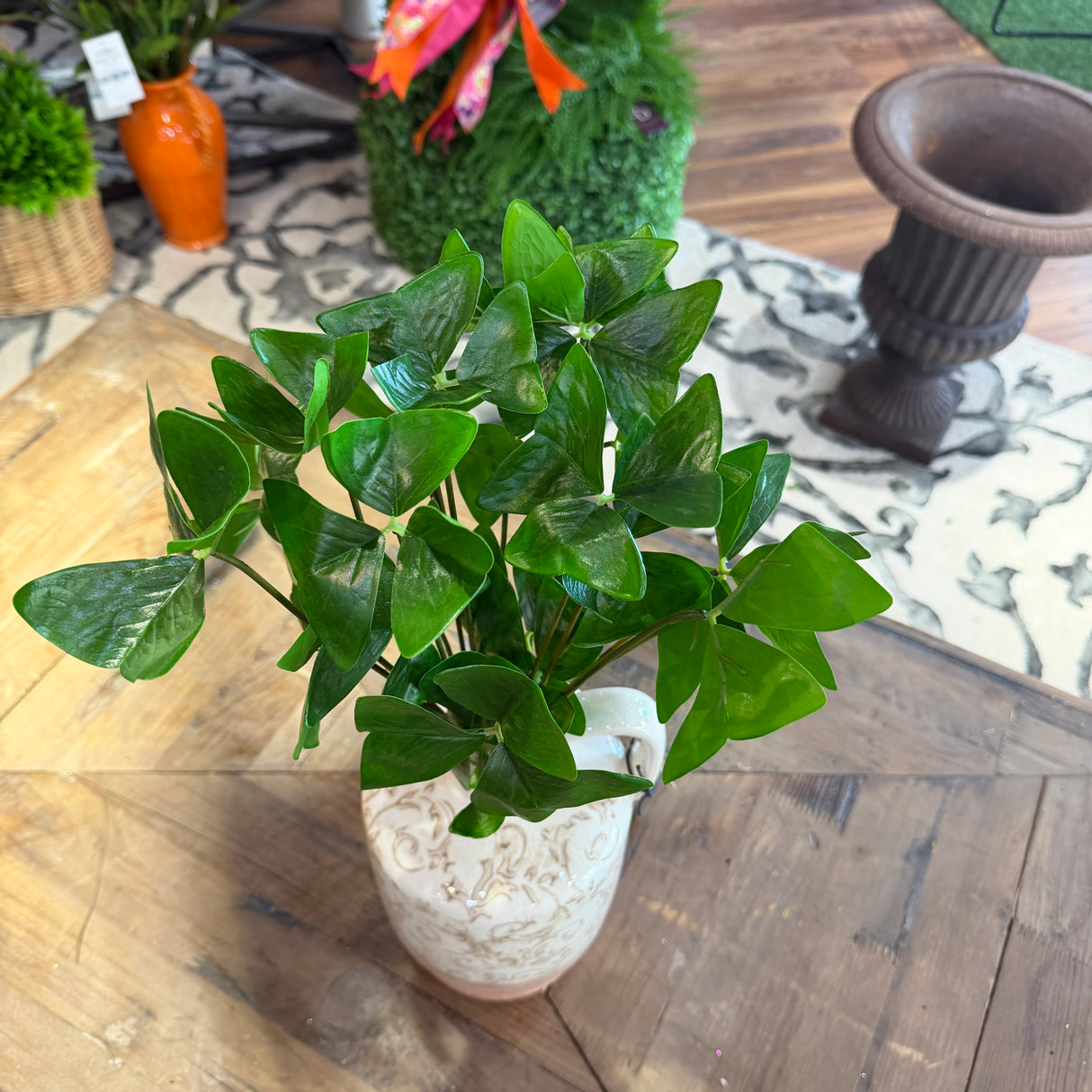 15" Garden Oxalis Plant | UV Protected