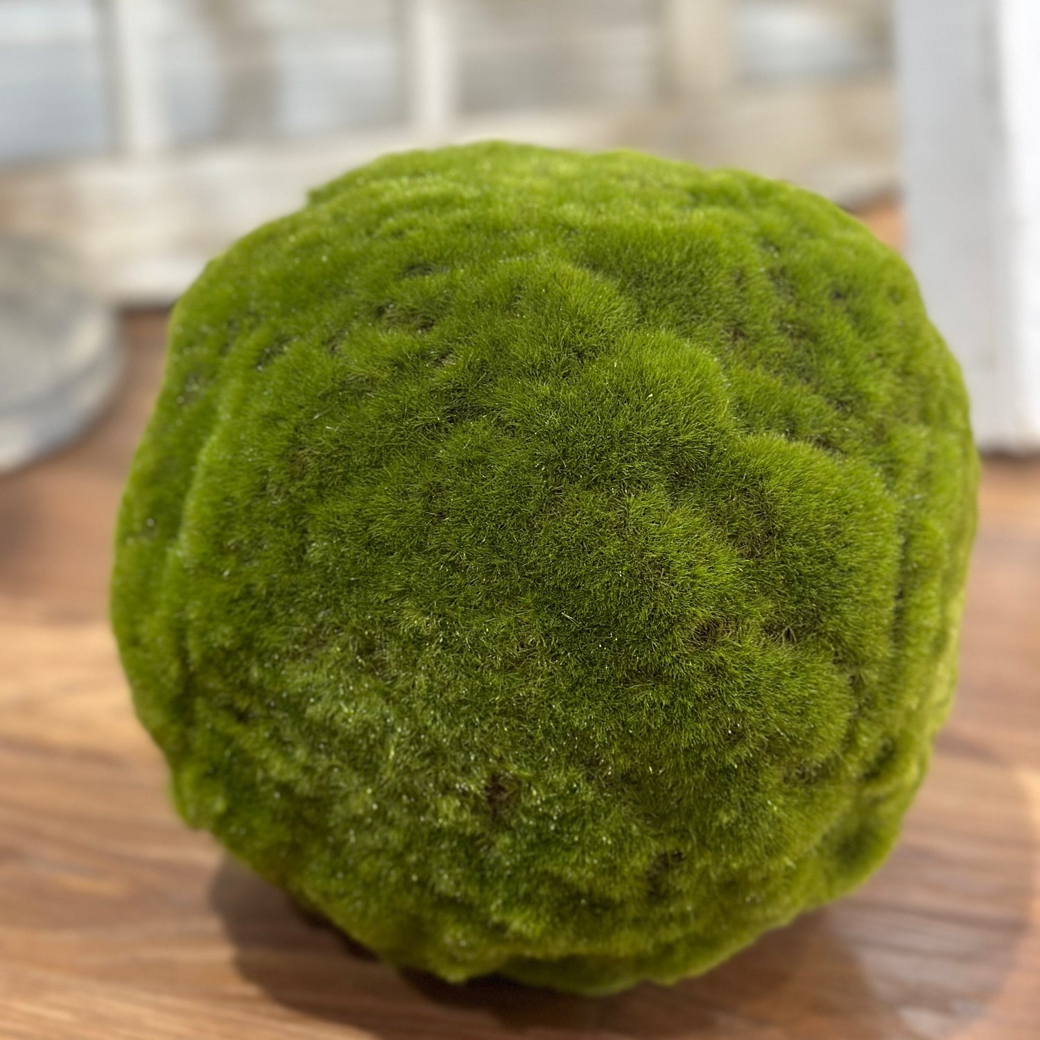 9" Green Medium Moss Ball