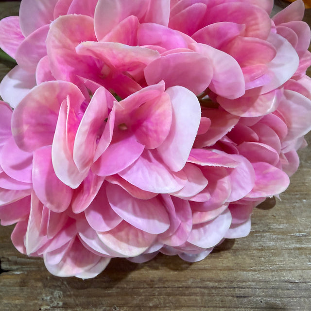 10" Cerise Hydrangea
