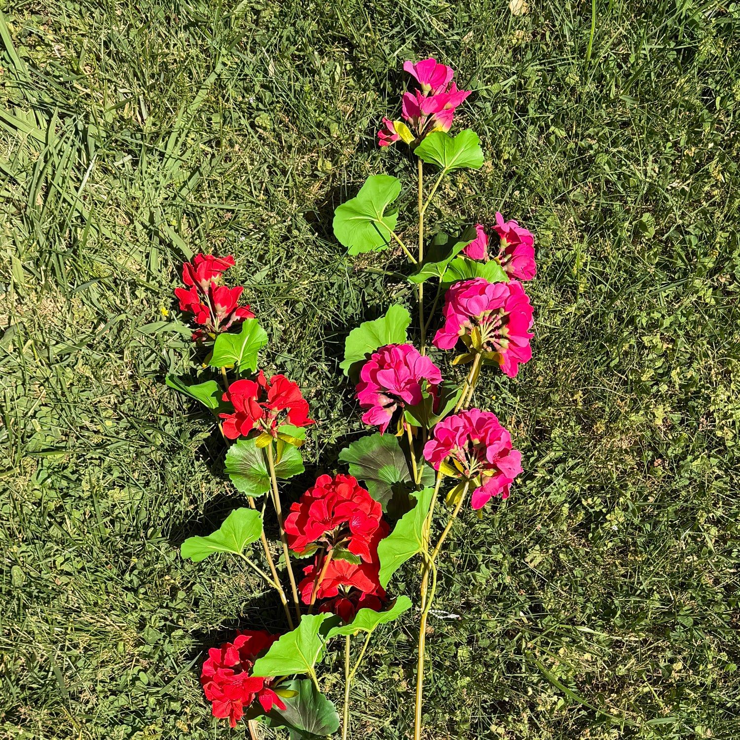 36" UV-Proof Geranium Spray | Two Colors Available