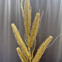 30" Wheat Glitter Spray