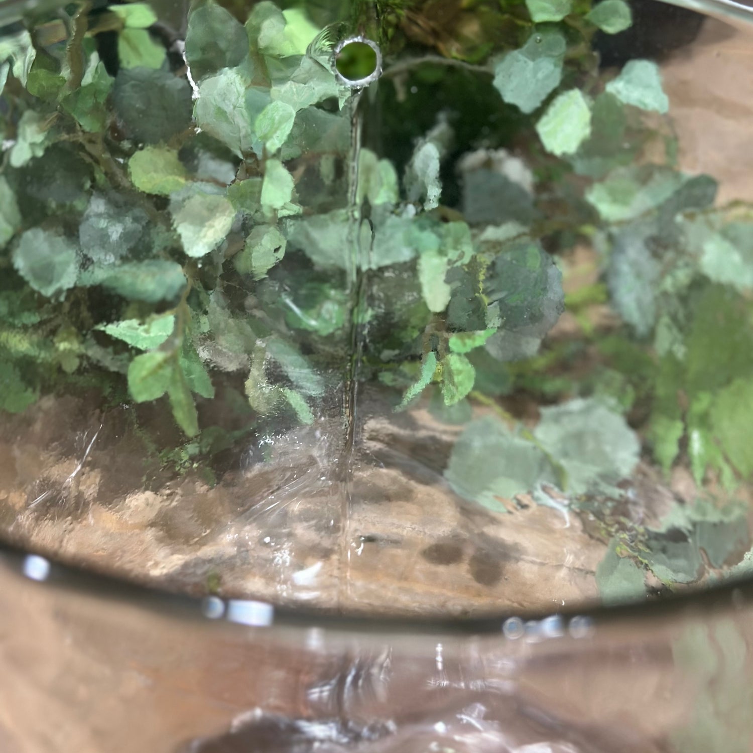 8” Hand-blown Round Clear Glass Hanging Vase