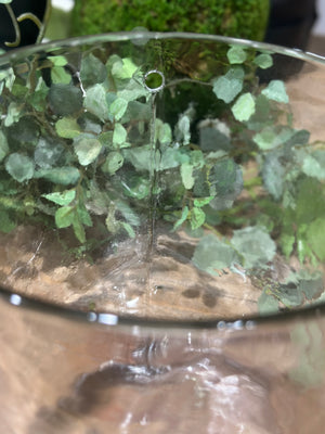 8” Hand-blown Round Clear Glass Hanging Vase