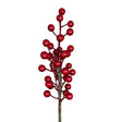 Red, White or Blue Berry Pick, additional view