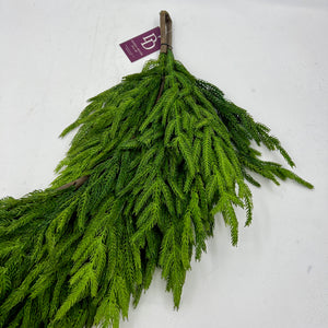 48" Delux Natural Touch Norfolk Pine Garland
