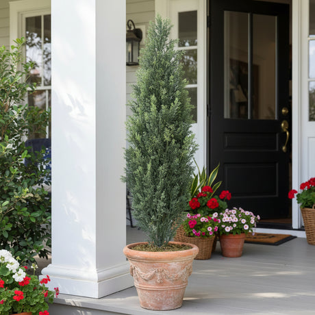 Potted coniferous tree on a wooden floor with decorative items in the background