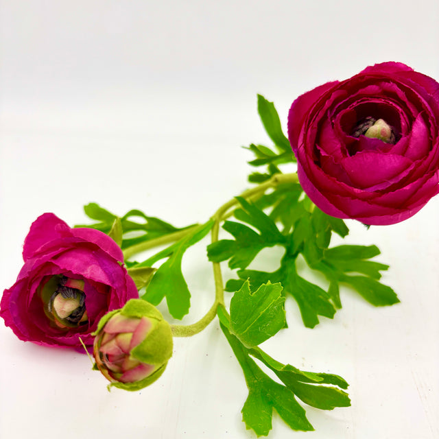 RANUNCULUS W BUDS STEM MAGENTA