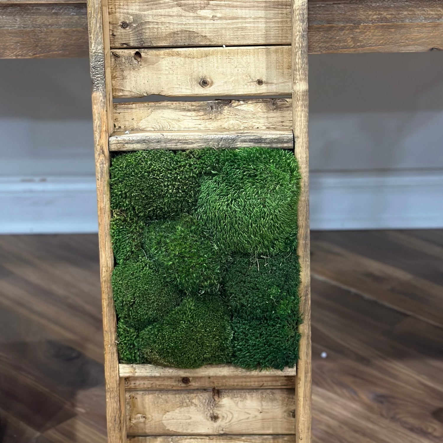 34.5” One Compartment Moss Walnut Tray
