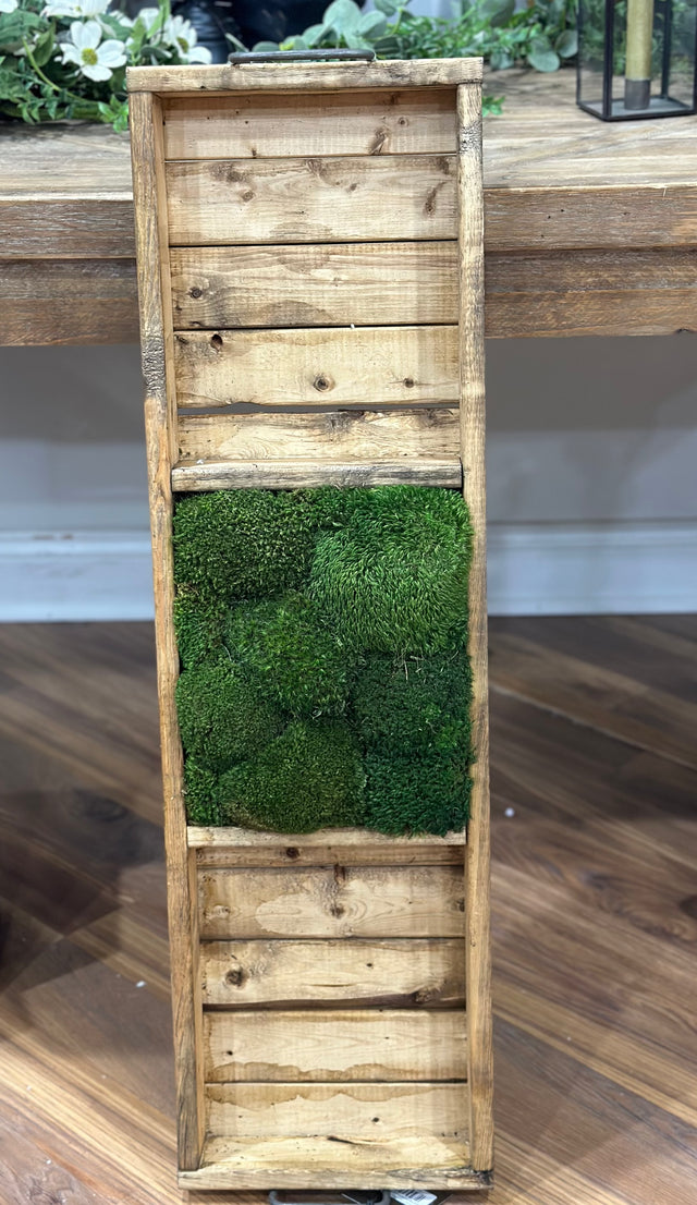 34.5” One Compartment Moss Walnut Tray