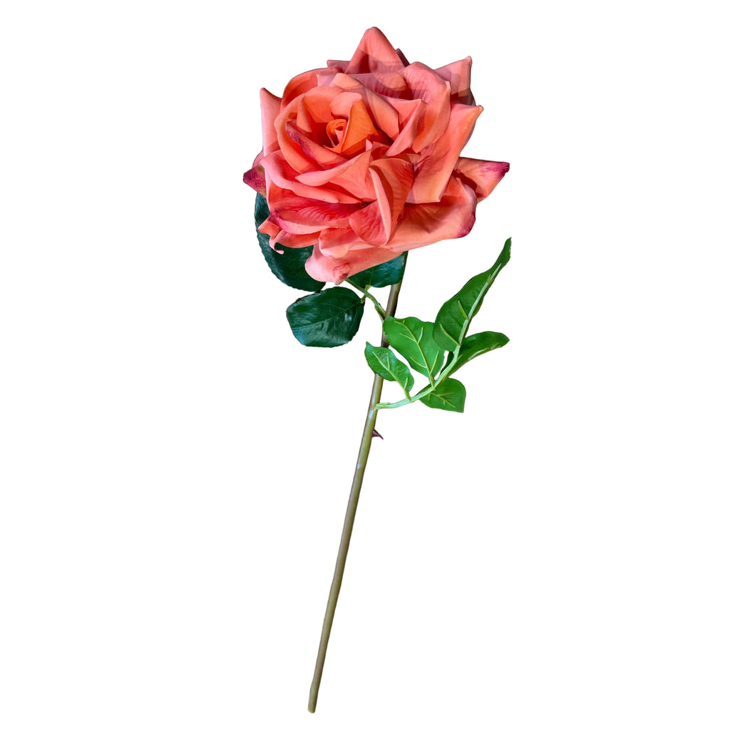 Single pink rose on a wooden surface