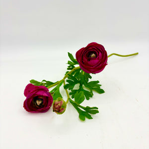 RANUNCULUS W BUDS STEM MAGENTA