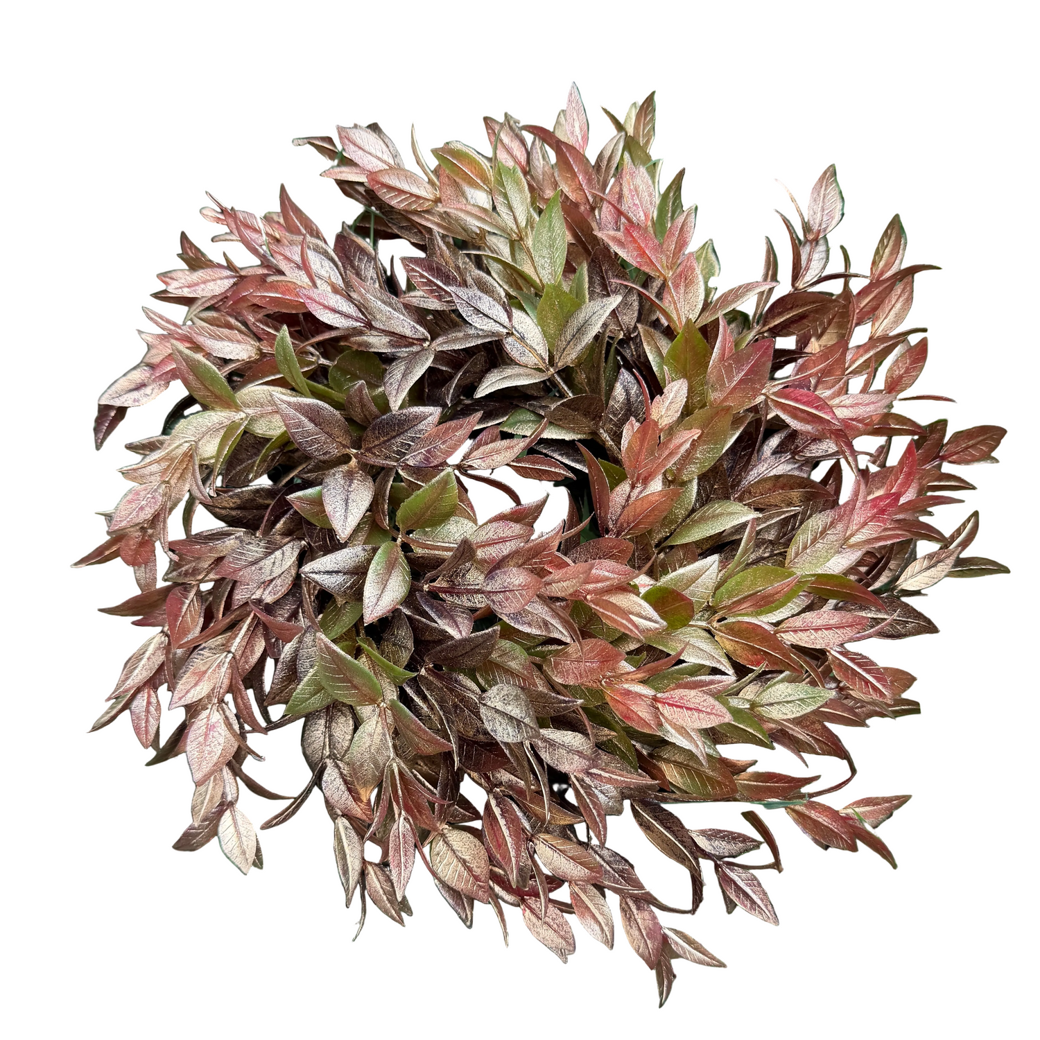 10" Golden Copper Ruscus Wreath (4" Base)