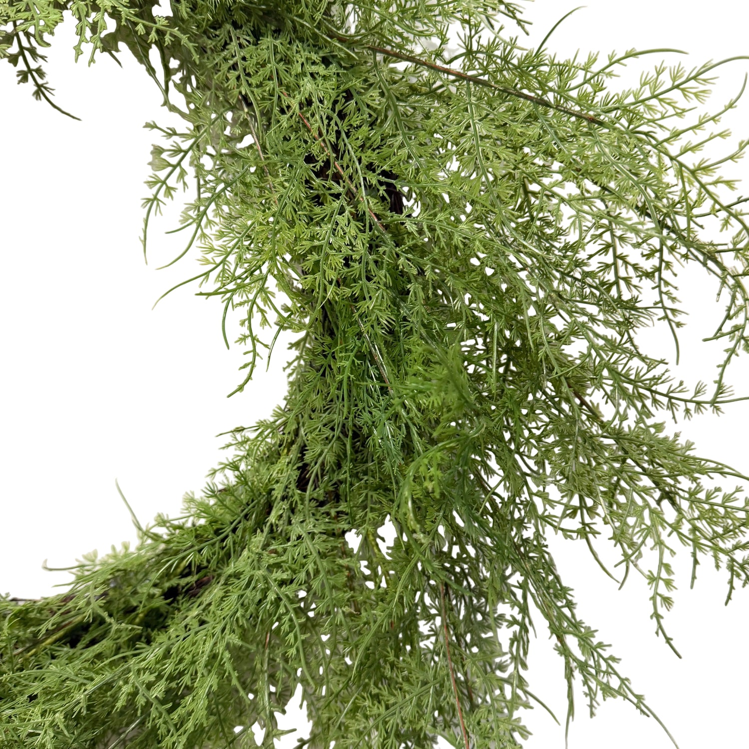 24" Asparagus Fern Wreath