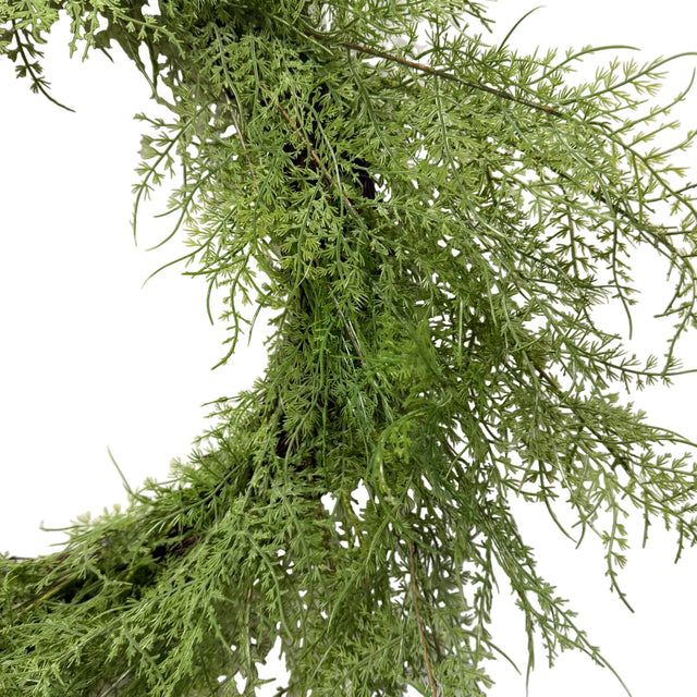 24" Asparagus Fern Wreath