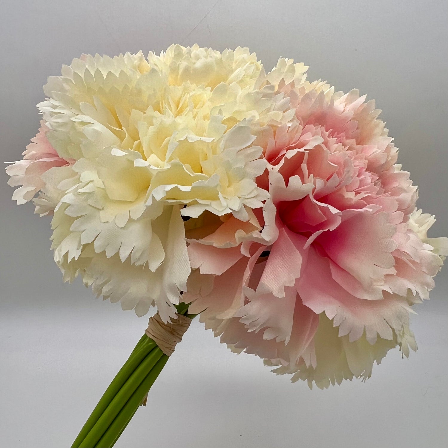 11" Blush Carnation Bundle