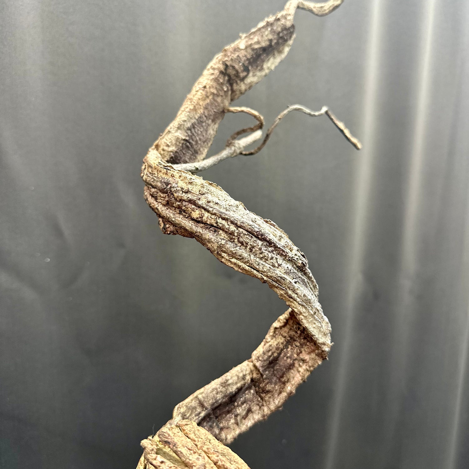 34" Wooden Twisty Twigs