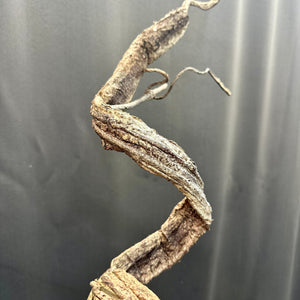 34" Wooden Twisty Twigs