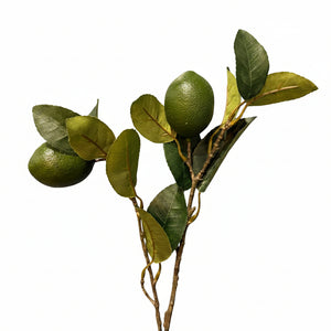 Faux Citrus Branch Lime