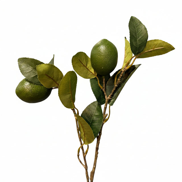 Faux Citrus Branch Lime