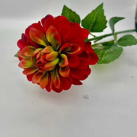 Crimson Dahlia Stem, additional view