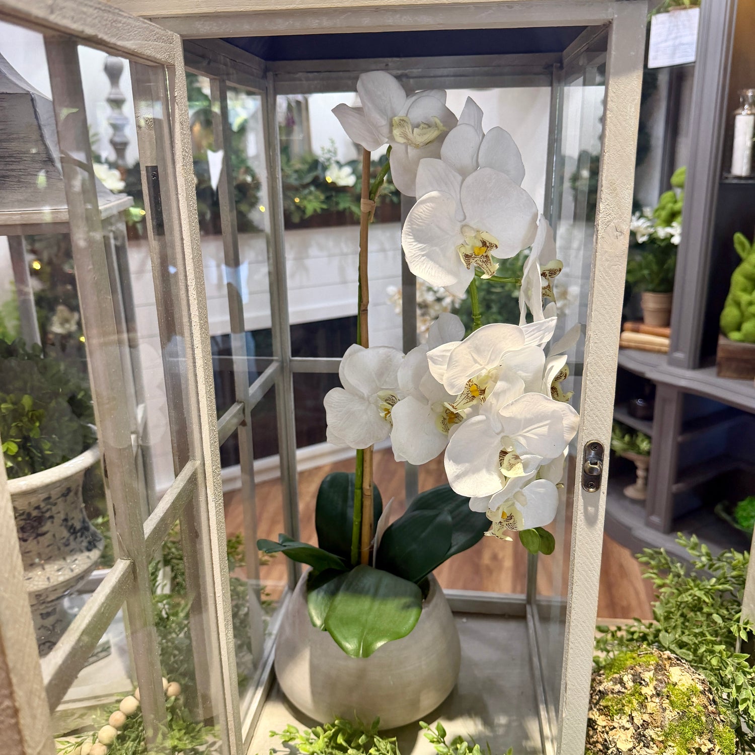 24" Natural Touch Phaleanopsis Orchid in Cement Pot White