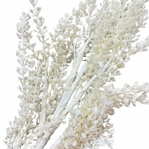 24" Frosted Leaf Spray | Winter White