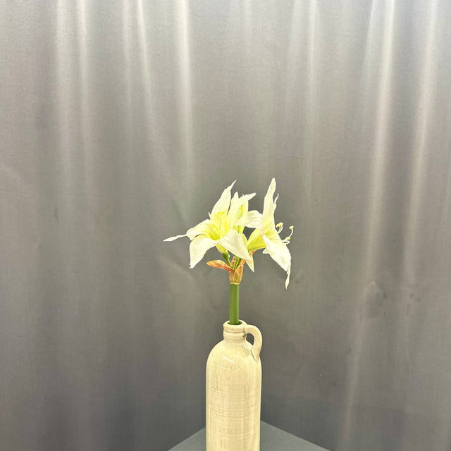 17" White Star Amaryllis Stem