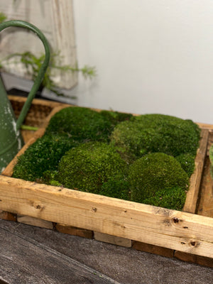 34.5” One Compartment Moss Walnut Tray