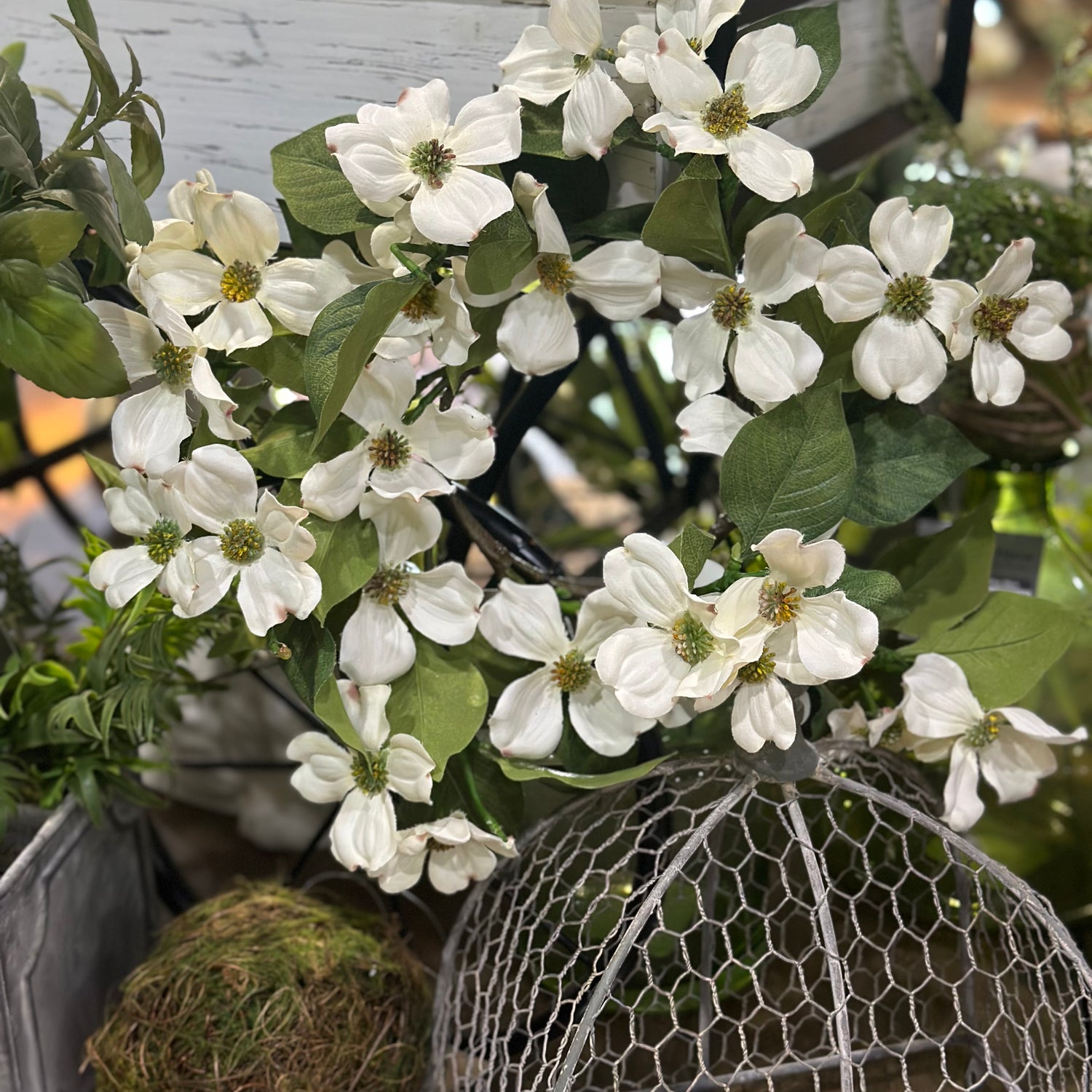 13" Dogwood Candle Ring Cream
